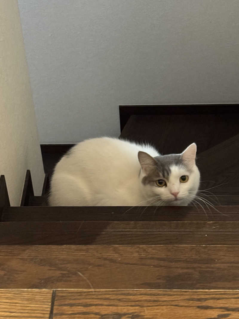 HDTMさんのユートピア白玉温泉のサ活写真