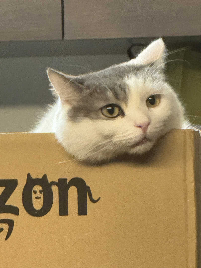 HDTMさんのなにわ健康ランド 湯〜トピアのサ活写真