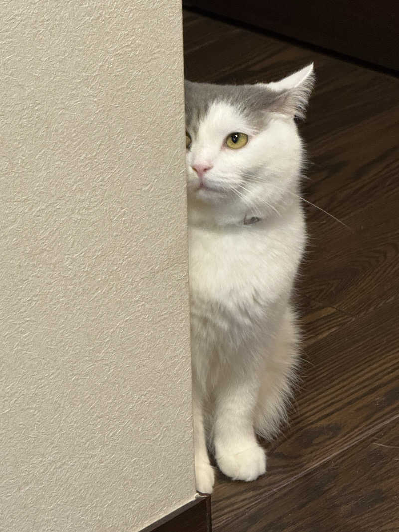 HDTMさんの神徳温泉のサ活写真