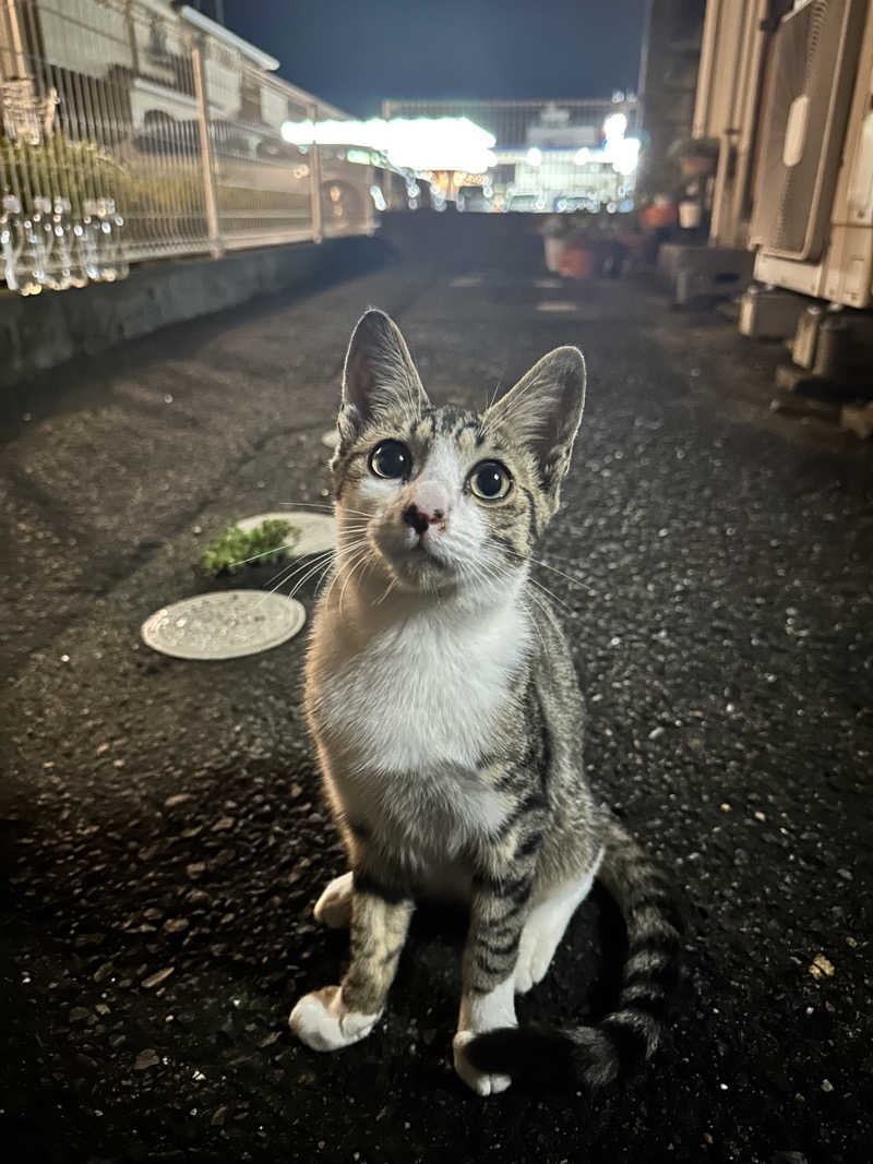 ハマさんのジェームス山天然温泉 月の湯舟のサ活写真