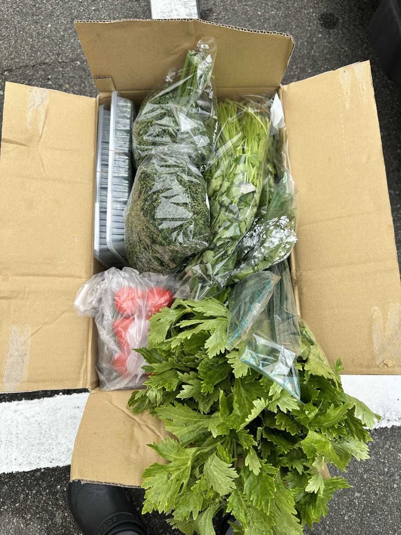 ハマさんのジェームス山天然温泉 月の湯舟のサ活写真