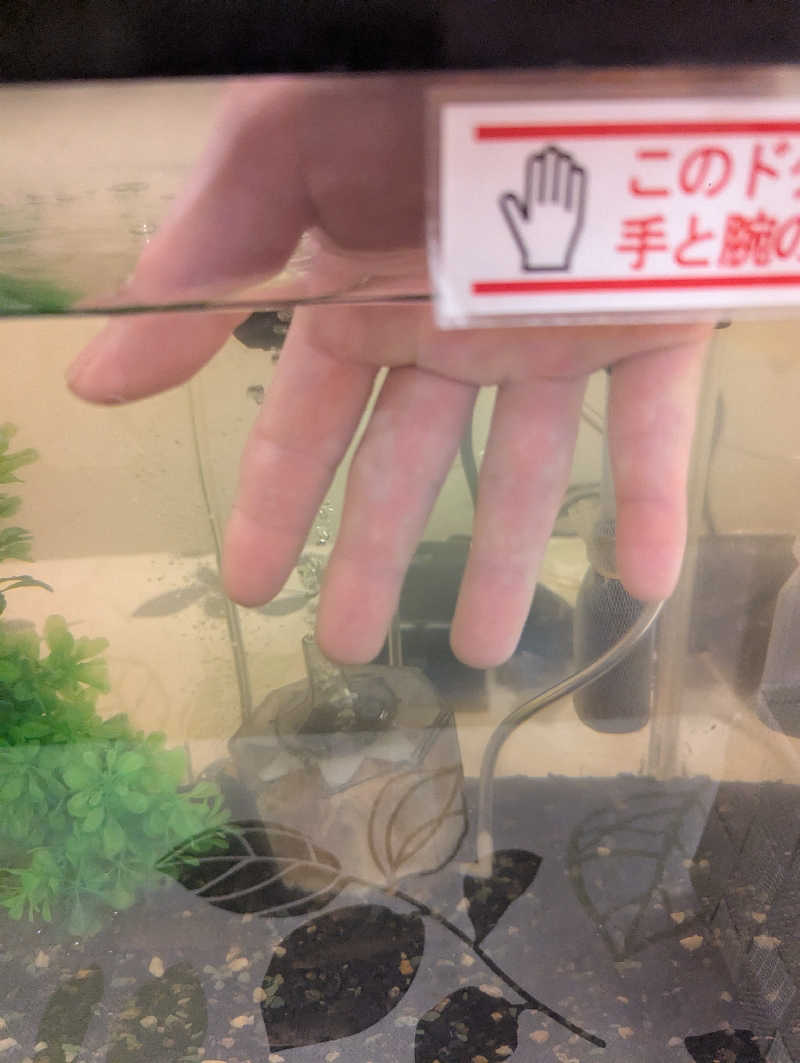 たけのこさんの湯どころ みのりのサ活写真