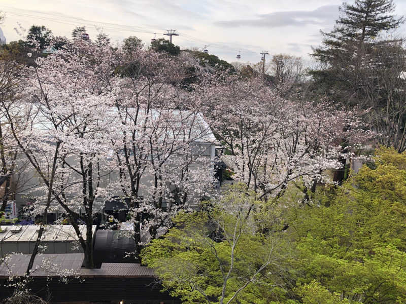 Sさんのよみうりランド眺望温泉 花景の湯のサ活写真