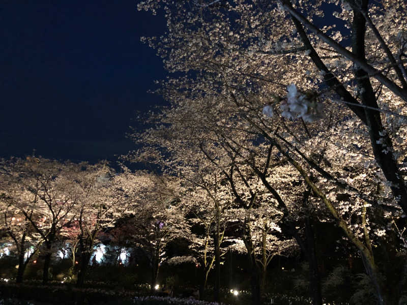 Sさんのよみうりランド眺望温泉 花景の湯のサ活写真