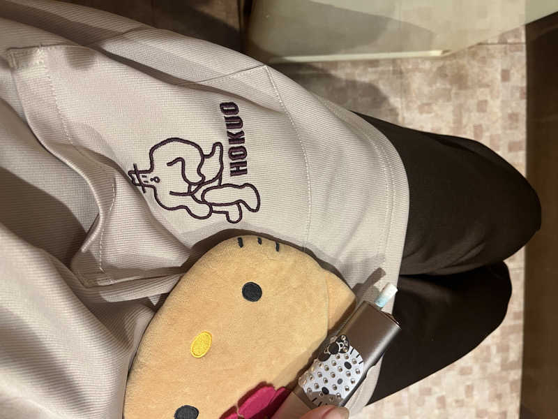 あいちゃんさんのサウナ&カプセルホテル 北欧のサ活写真