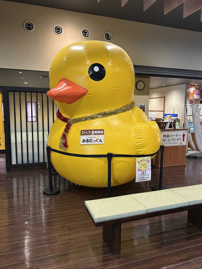 りゅうちゃんさんの神州温泉 あるごの湯のサ活写真
