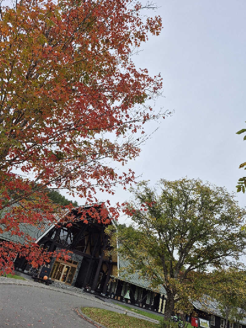 もっちもちさんのログホテル  ザ  メープルロッジのサ活写真