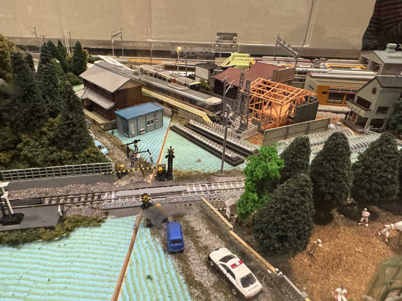 Nausaさんの宇治天然温泉 源氏の湯のサ活写真