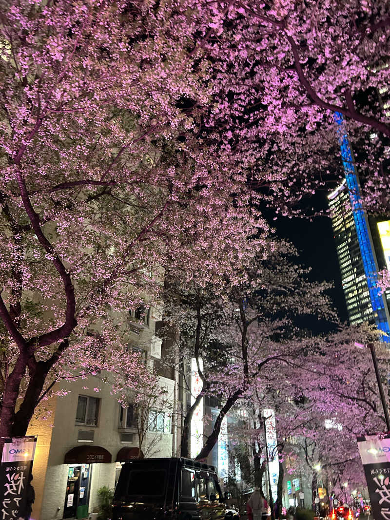 まささんの渋谷SAUNASのサ活写真