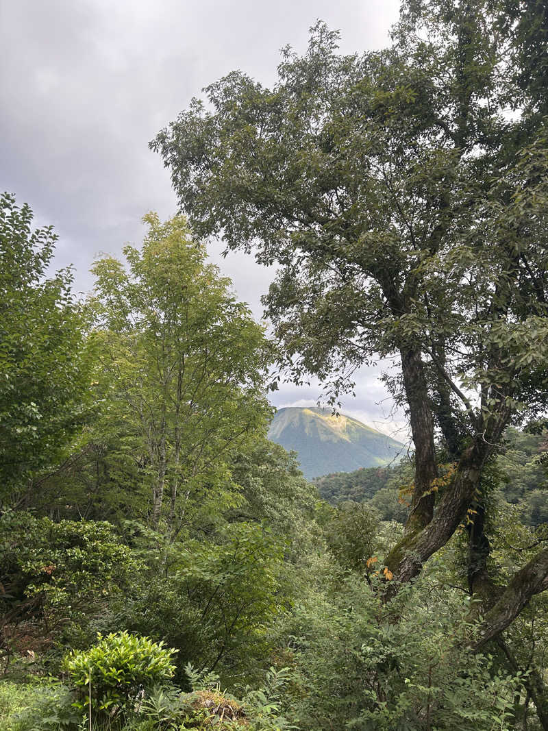 むぎちゃんさんのペンションあすかのサ活写真