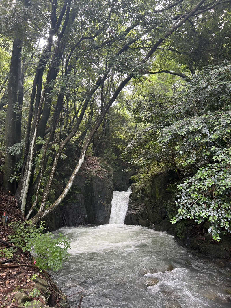 むぎちゃんさんの二ノ丸温泉のサ活写真