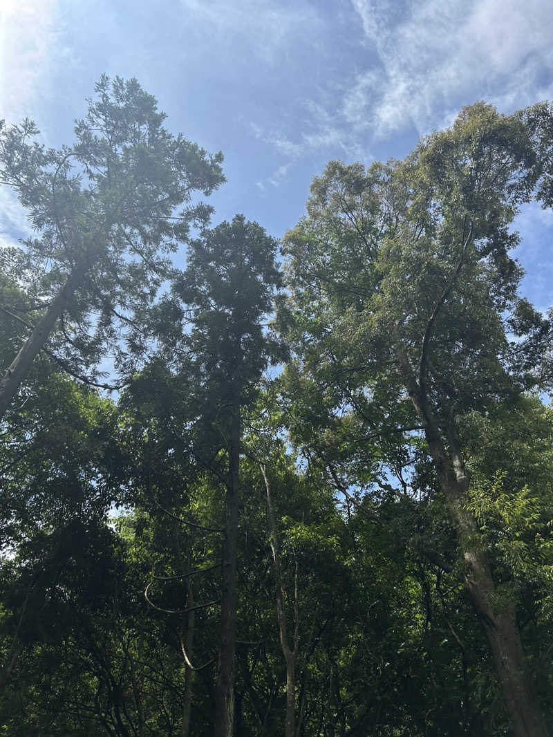 むぎちゃんさんの二ノ丸温泉のサ活写真