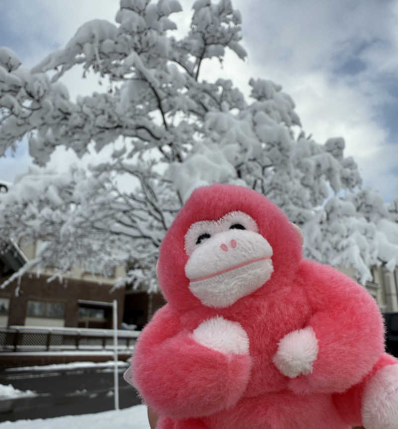 しーちゃんさんの森のゆ ホテル 花神楽のサ活写真
