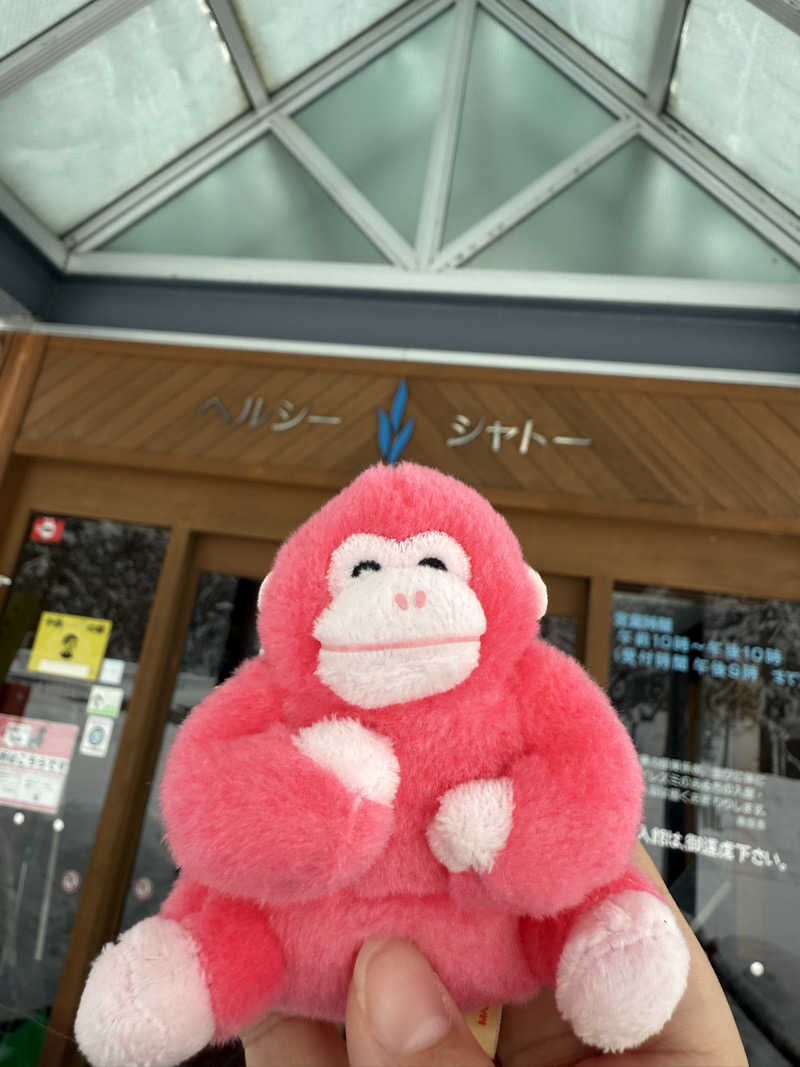 しーちゃんさんのヘルシーシャトーのサ活写真