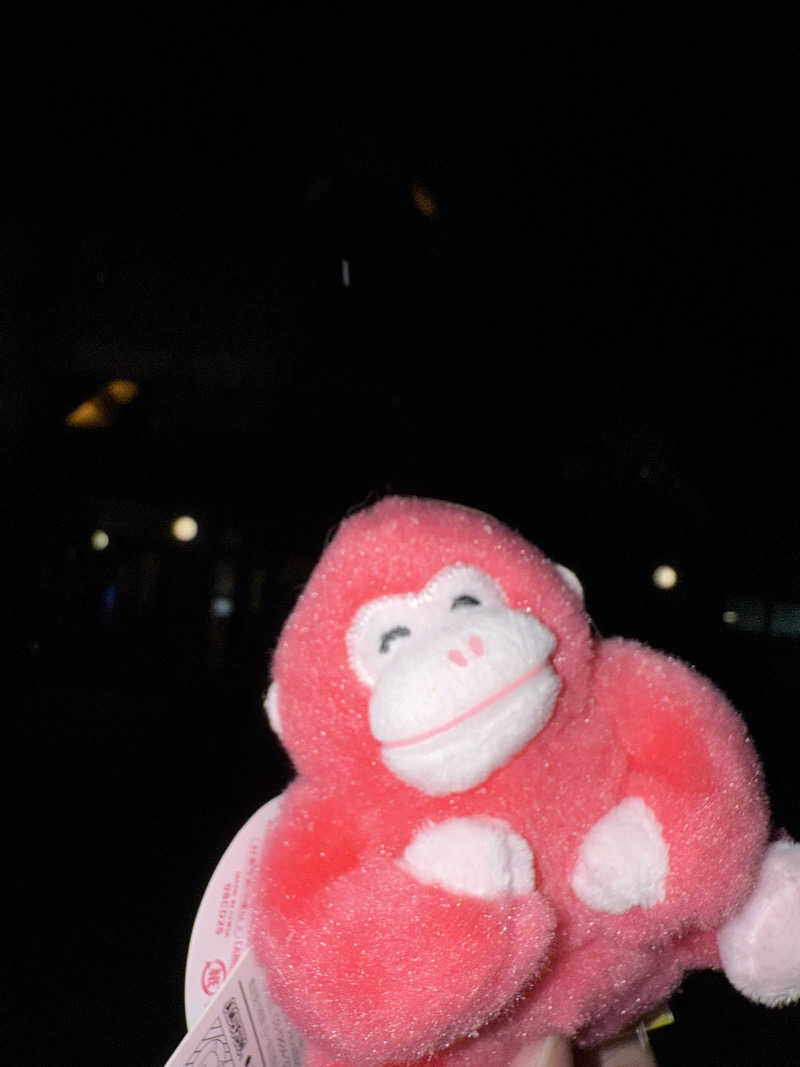 しーちゃんさんの森のゆ ホテル 花神楽のサ活写真