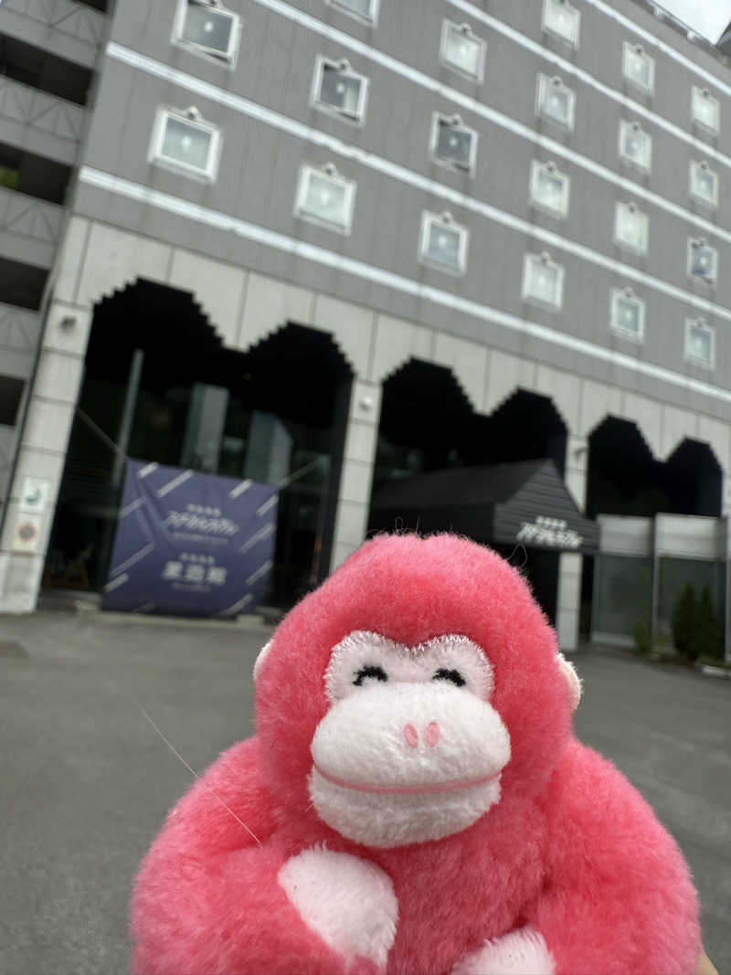 しーちゃんさんの芦別温泉 おふろcafé 星遊館 (芦別温泉スターライトホテル)のサ活写真