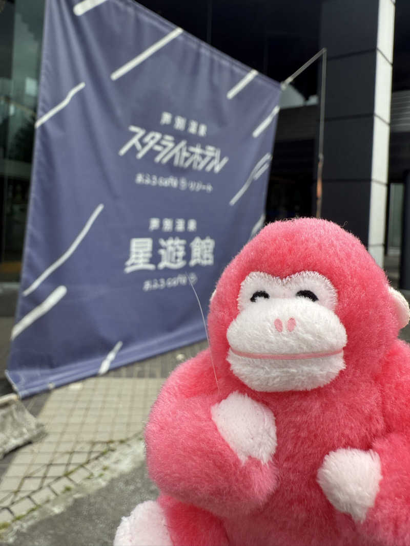 しーちゃんさんの芦別温泉 おふろcafé 星遊館 (芦別温泉スターライトホテル)のサ活写真