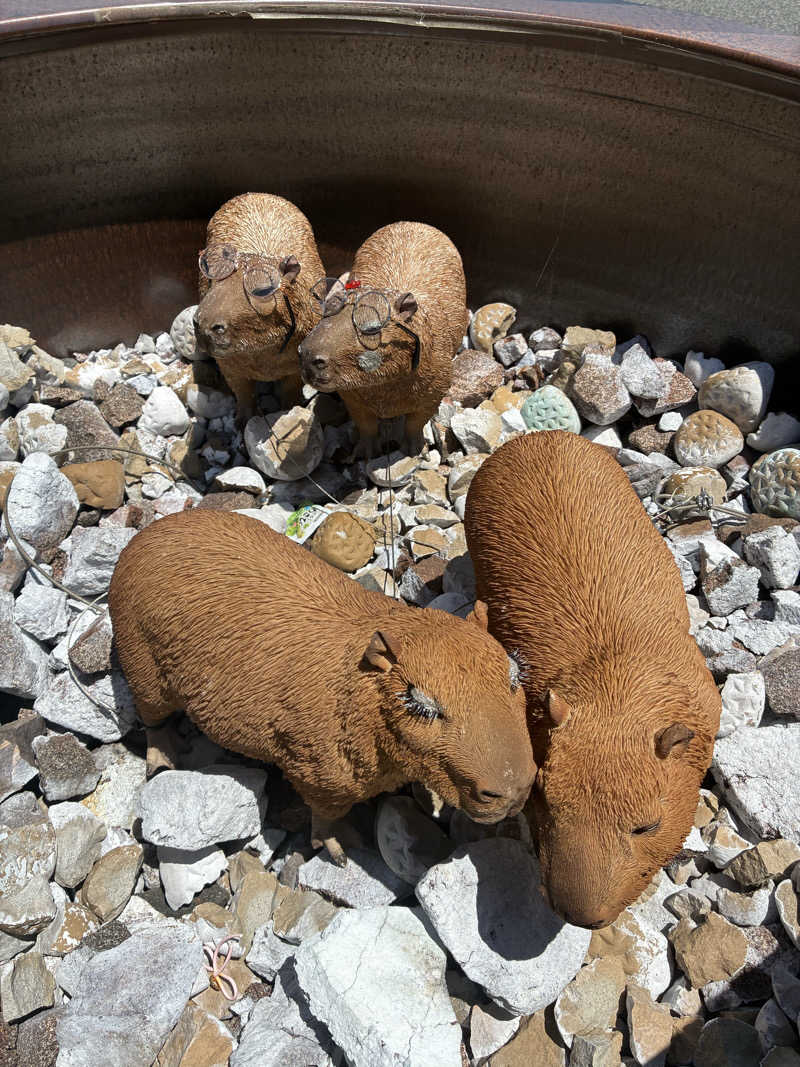 Mizu327さんの富士山天然水SPA サウナ鷹の湯のサ活写真