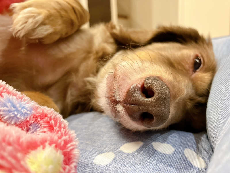 サウナーズmark2さんの佐久山温泉きみのゆのサ活写真