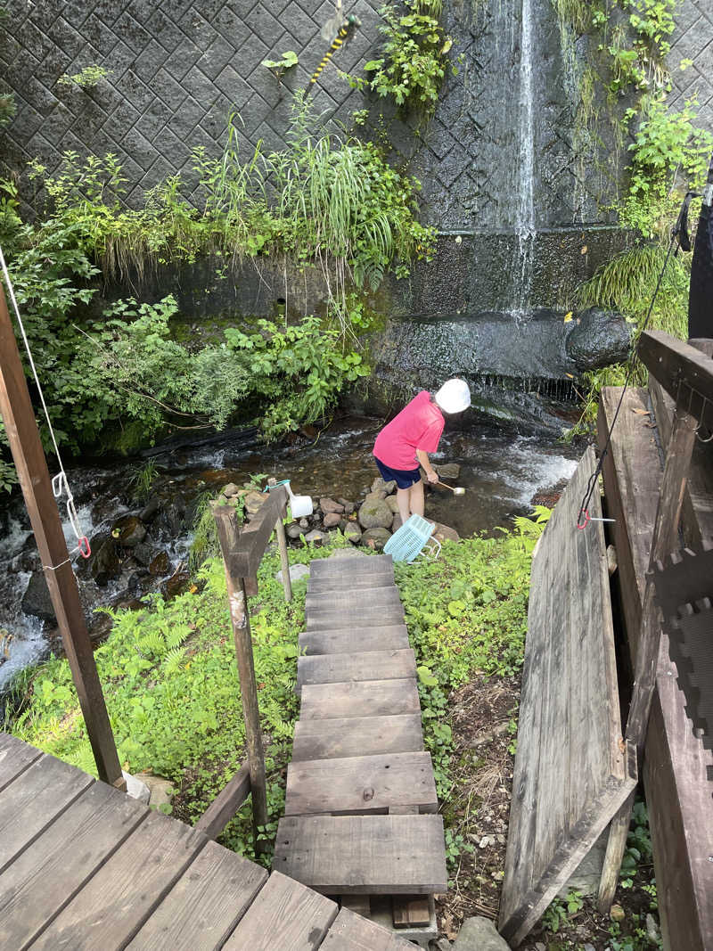 弱小猫ビームさんのハネサウナのサ活写真