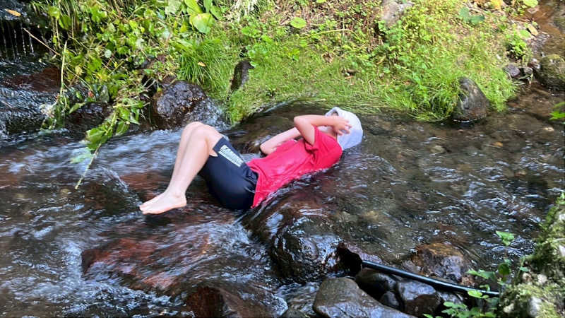 弱小猫ビームさんのハネサウナのサ活写真