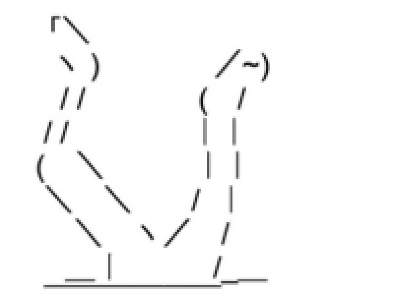 弱小猫ビームさんの越谷天然温泉美人の湯 ゆの華のサ活写真