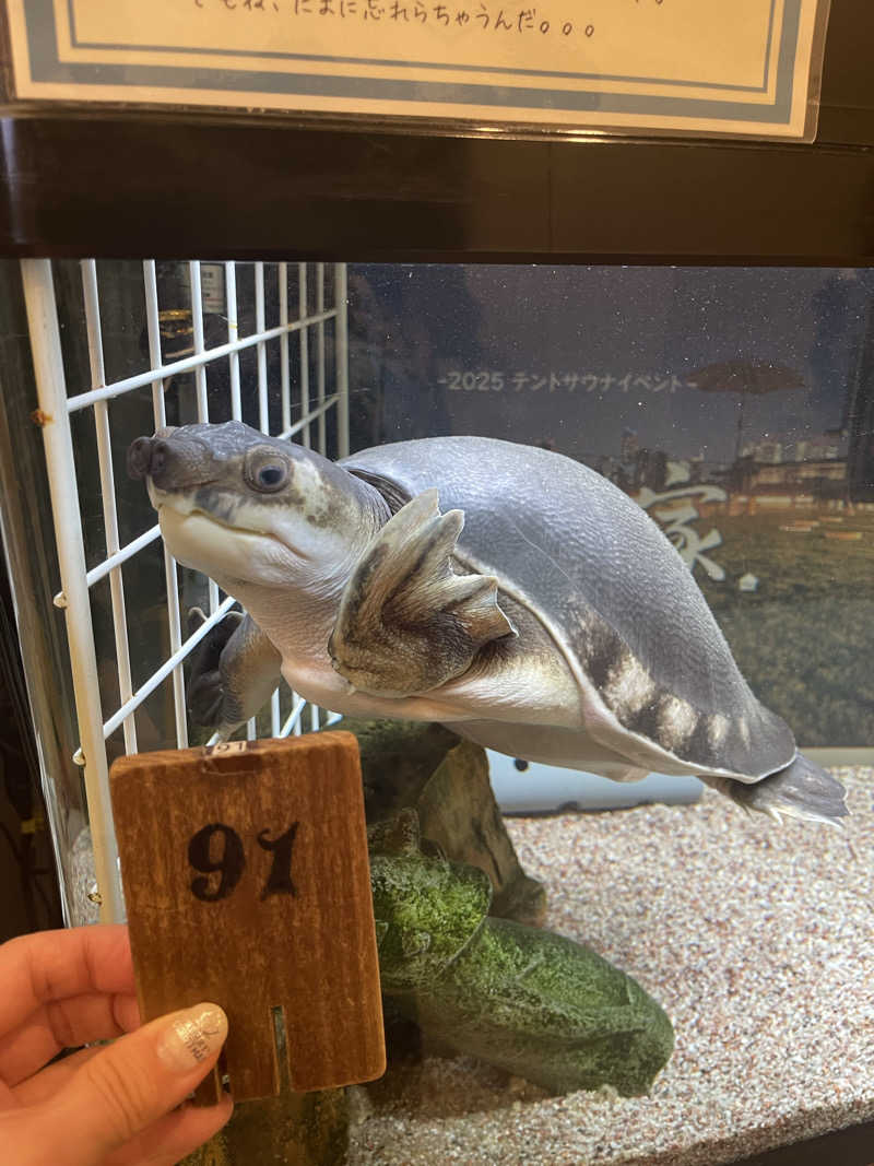 弱小猫ビームさんの松本湯のサ活写真