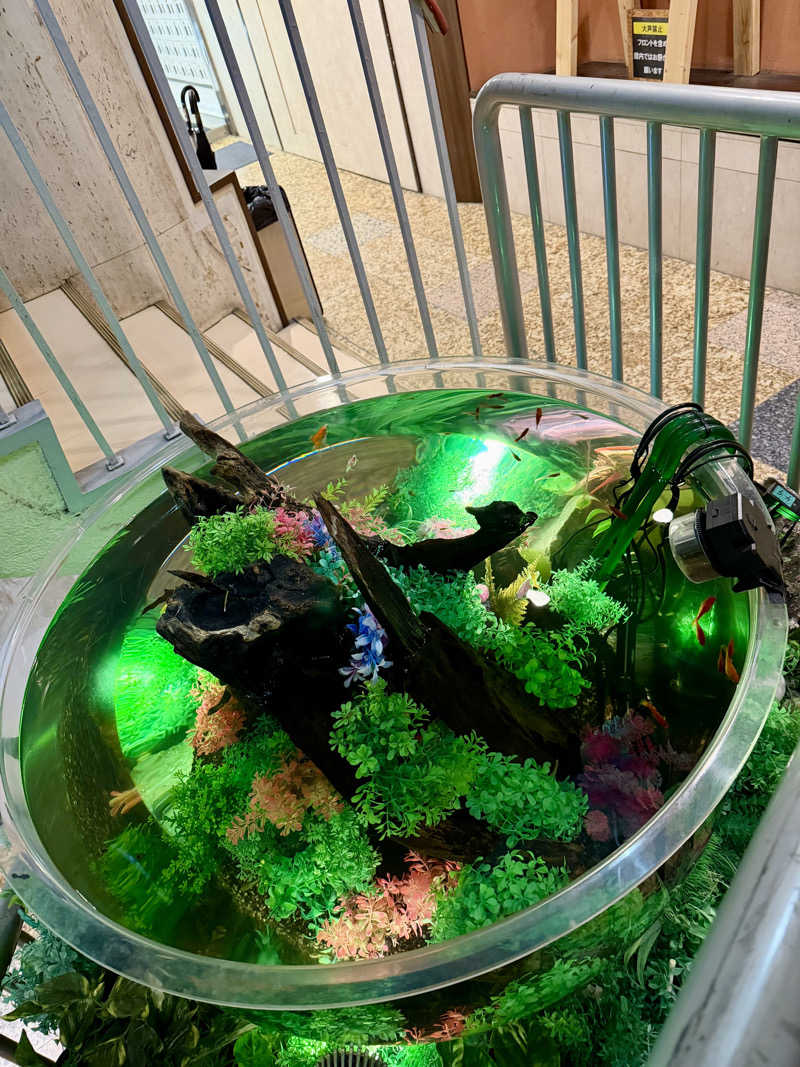 にわかサウナ〜PINE🥳(まっちゃん)さんのウェルビー福岡のサ活写真