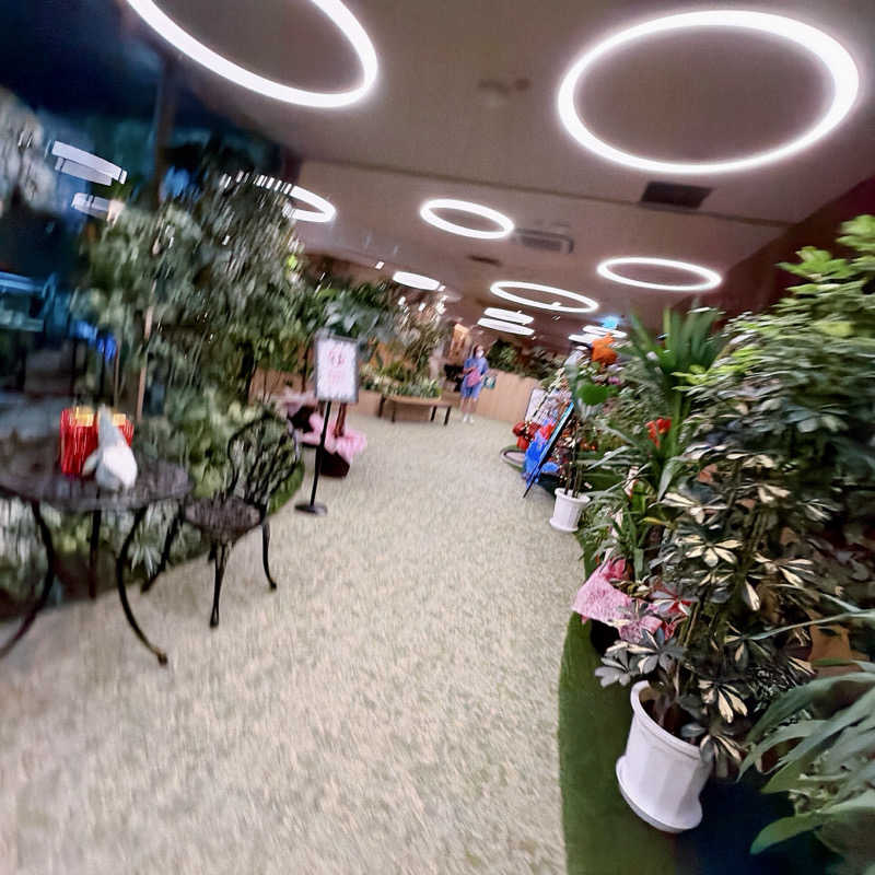 にわかサウナ〜PINE＆PAINちゃん🥳さんの天然温泉リラックスパーク テルメ金沢のサ活写真