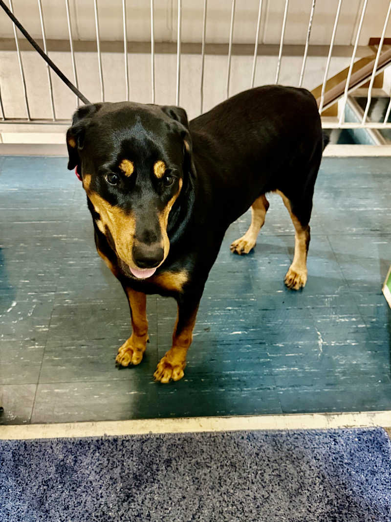 にわかサウナ〜PINE🥳(まっちゃん)さんのゴールデンタイム高松のサ活写真