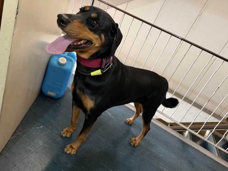 にわかサウナ〜PINE🥳(まっちゃん)さんのゴールデンタイム高松のサ活写真