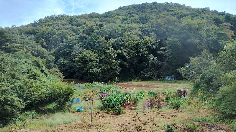 薫さんの名水はだの富士見の湯のサ活写真