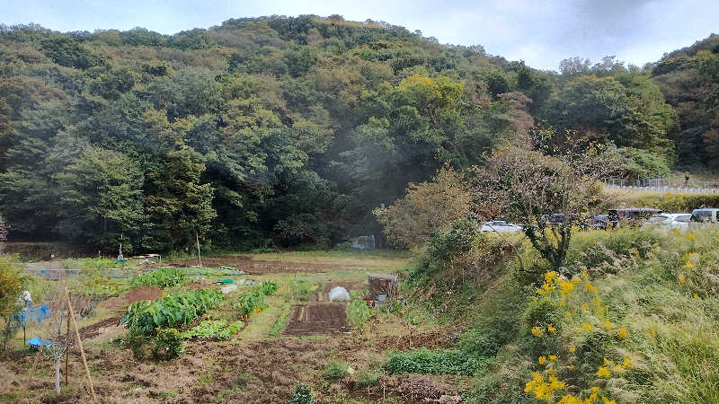 薫さんの名水はだの富士見の湯のサ活写真