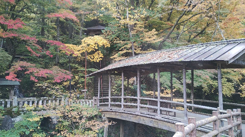 薫さんの尾白の湯のサ活写真