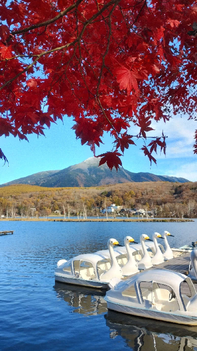 薫さんの尾白の湯のサ活写真