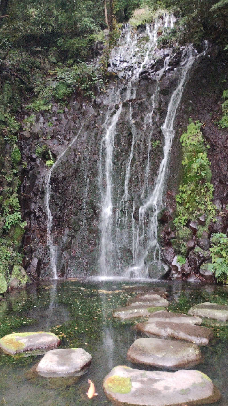薫さんの箱根湯本温泉 天成園のサ活写真