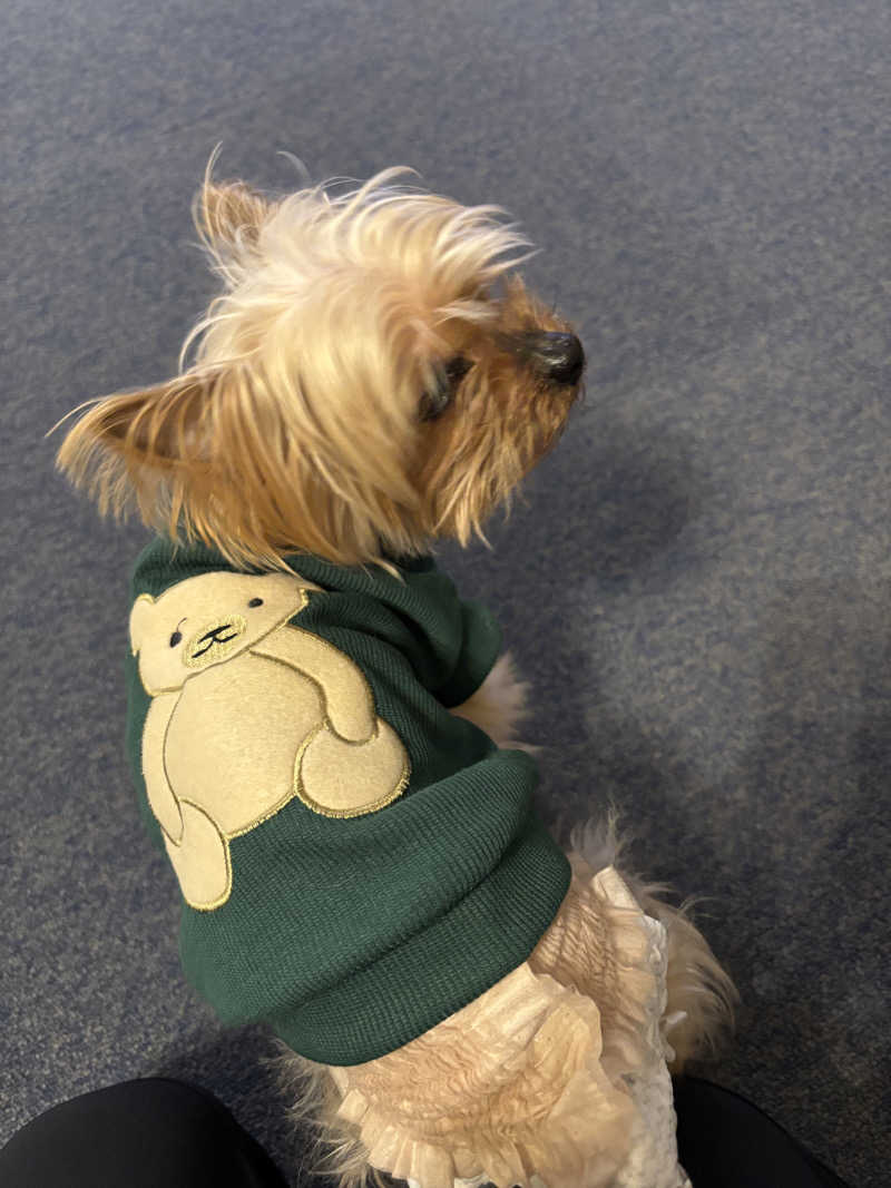 2982さんの励明園のサ活写真