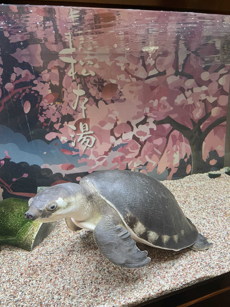 miki🌈🌈さんの松本湯のサ活写真