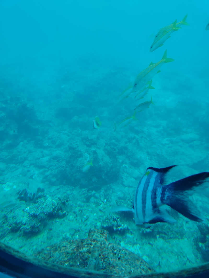 ke12さんのリザンシーパークホテル谷茶ベイのサ活写真