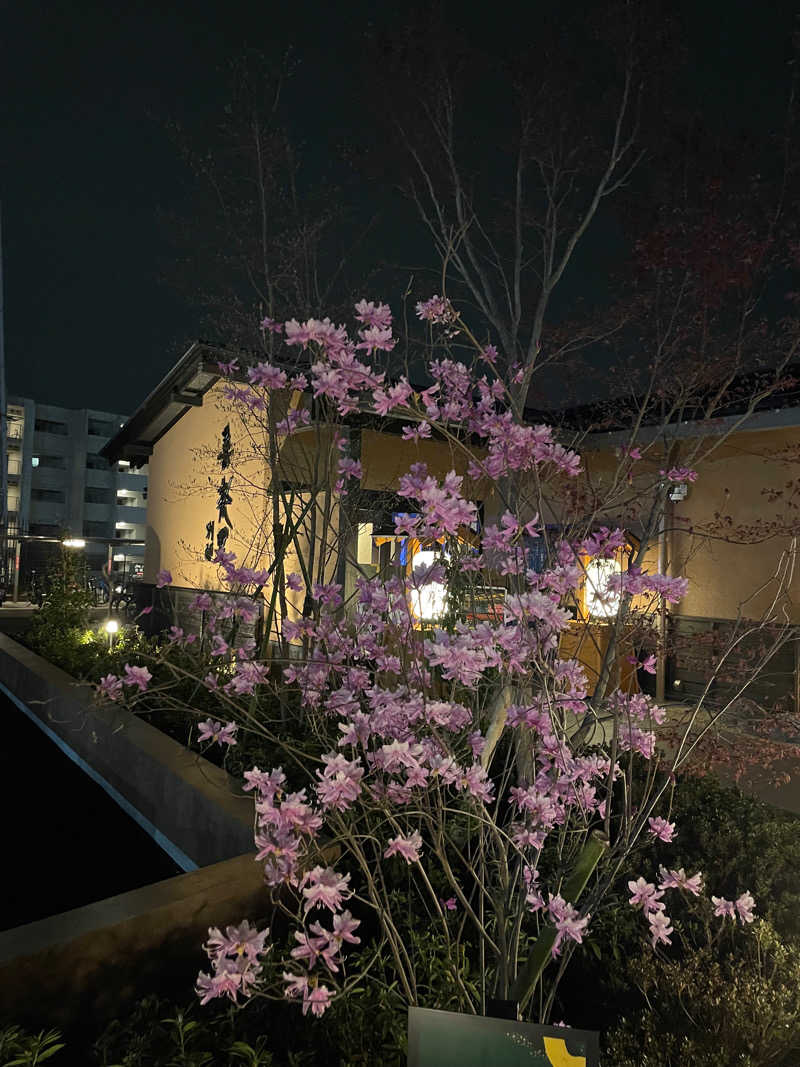 Yoshiさんの横浜青葉温泉 喜楽里別邸のサ活写真