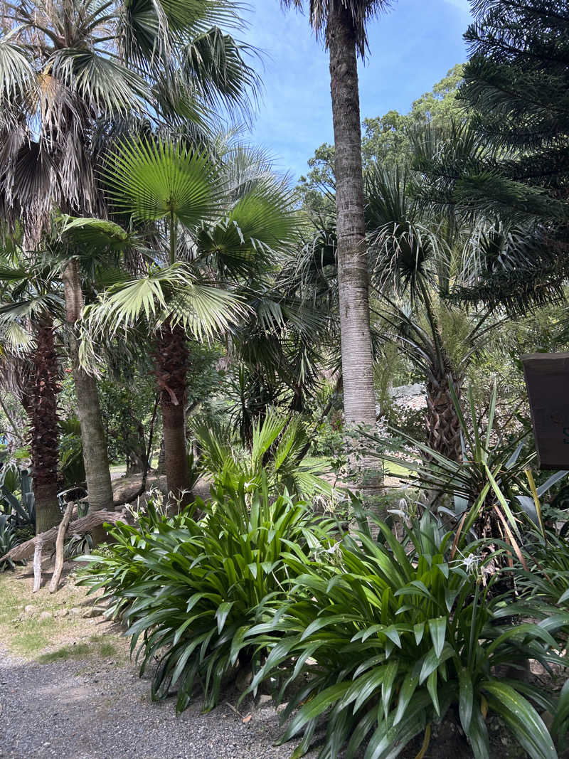 チョキさんのHIDEAWAY sunset campのサ活写真