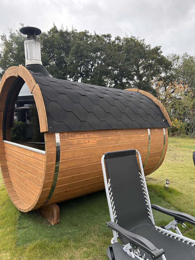 チョキさんの南道後温泉ていれぎの湯のサ活写真