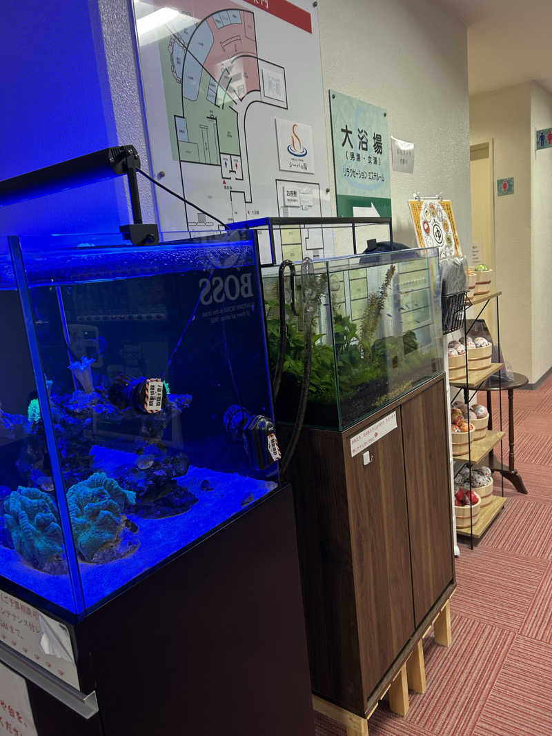 チョキさんのシーパの湯のサ活写真