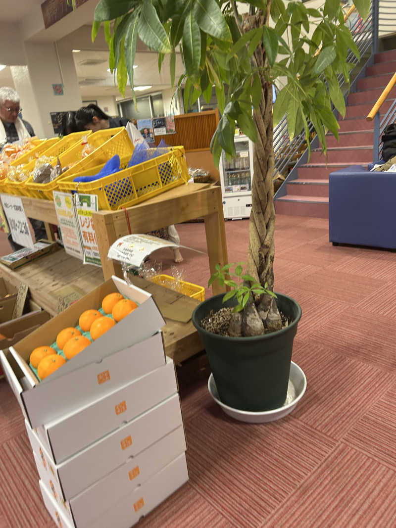 チョキさんのシーパの湯のサ活写真