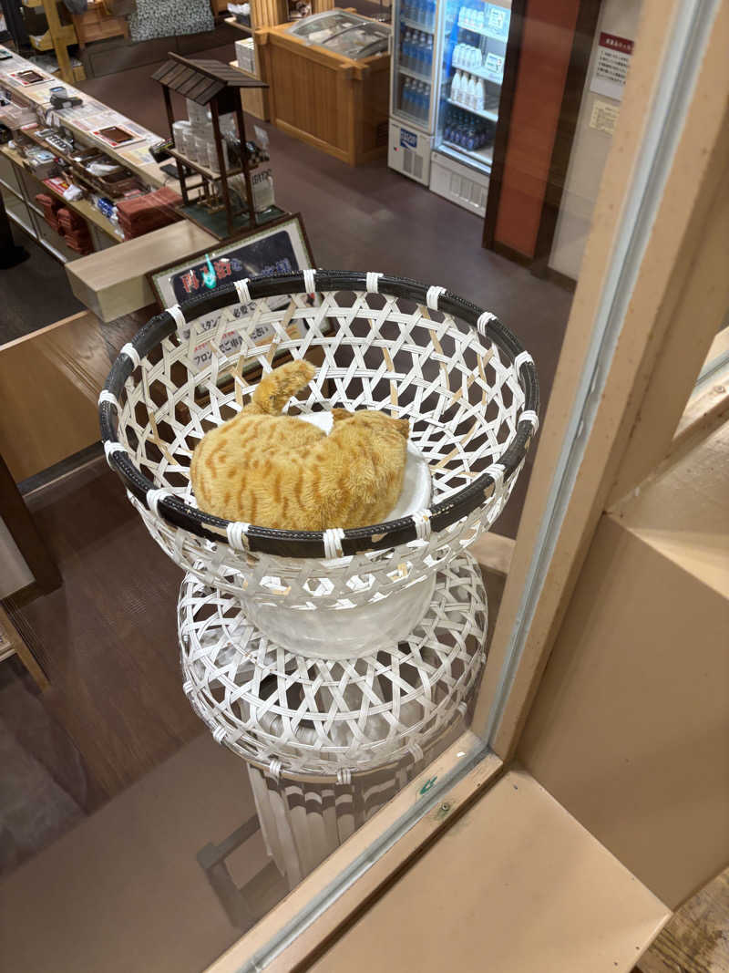 みにみにさんの天然温泉 満天の湯のサ活写真