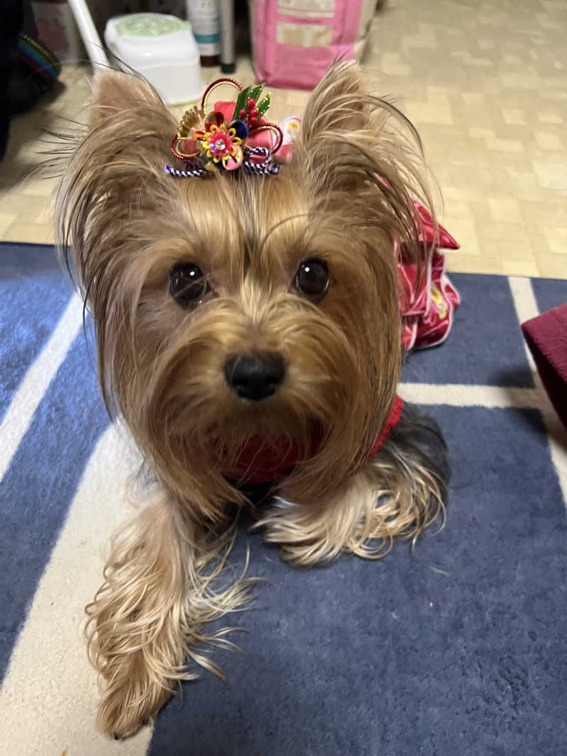 Hiro_hideさんのサウナしきじのサ活写真