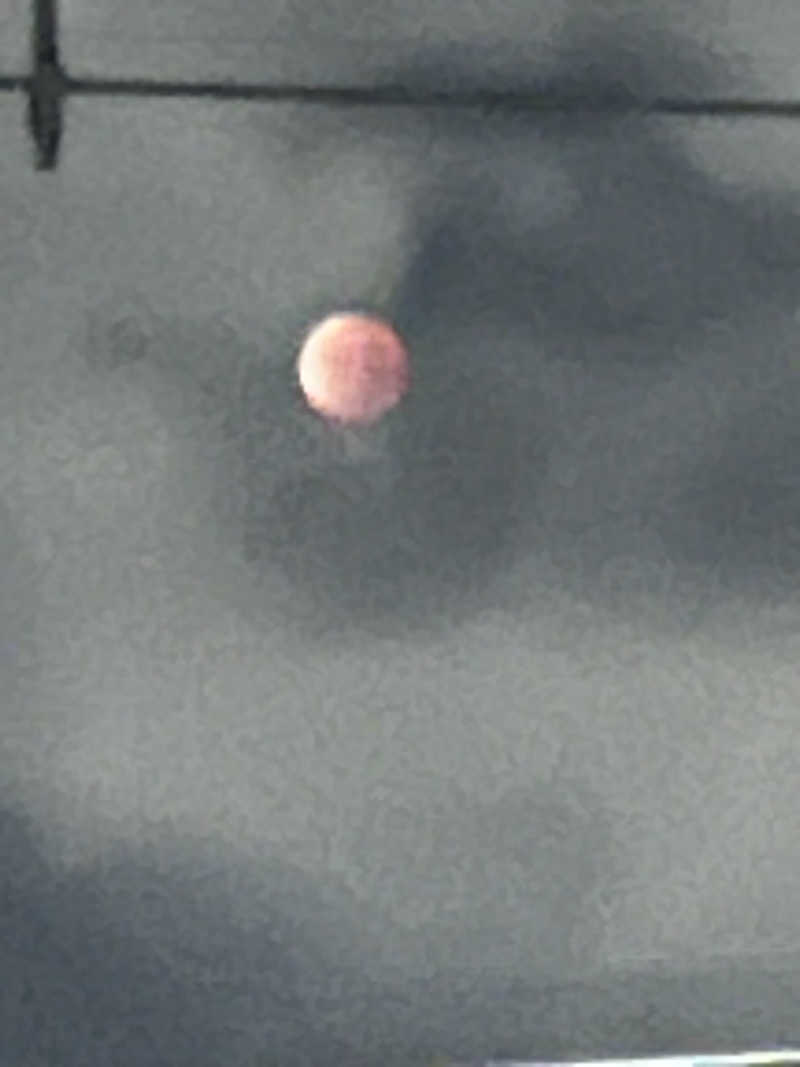 Hiro_hideさんのサウナしきじのサ活写真