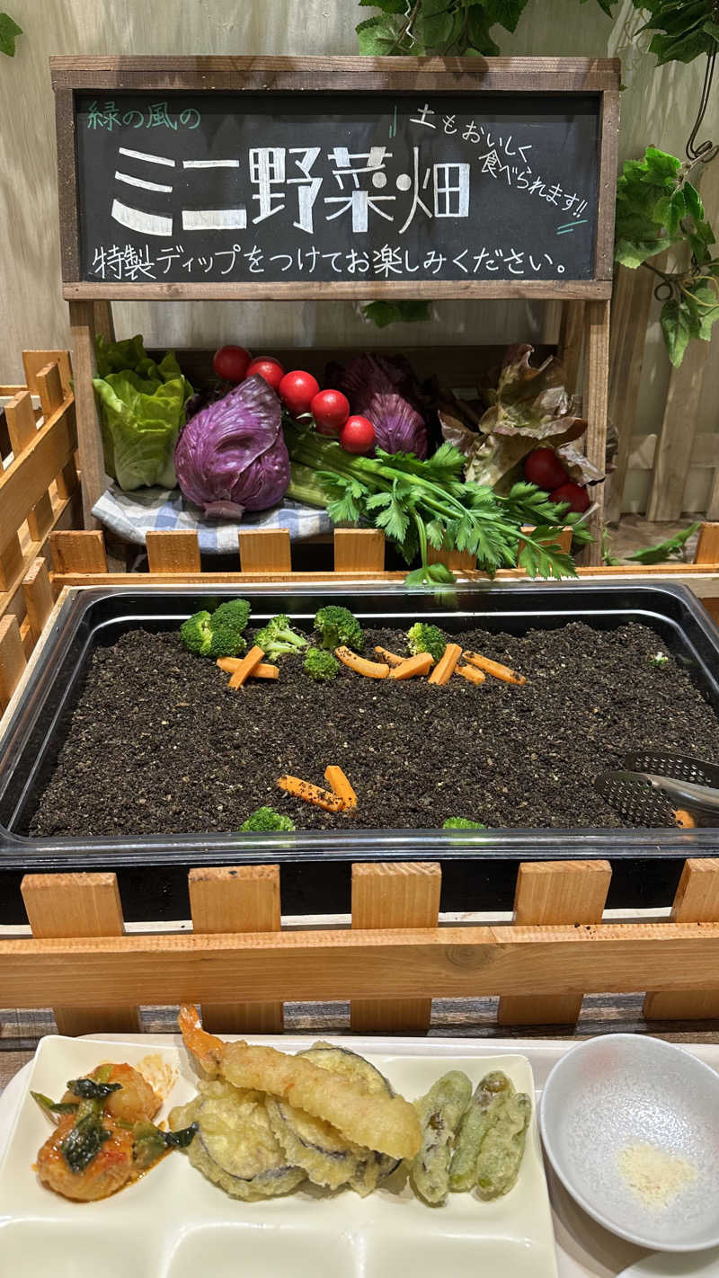 erica⋆｡˚♛さんの緑の風 リゾート きたゆざわのサ活写真