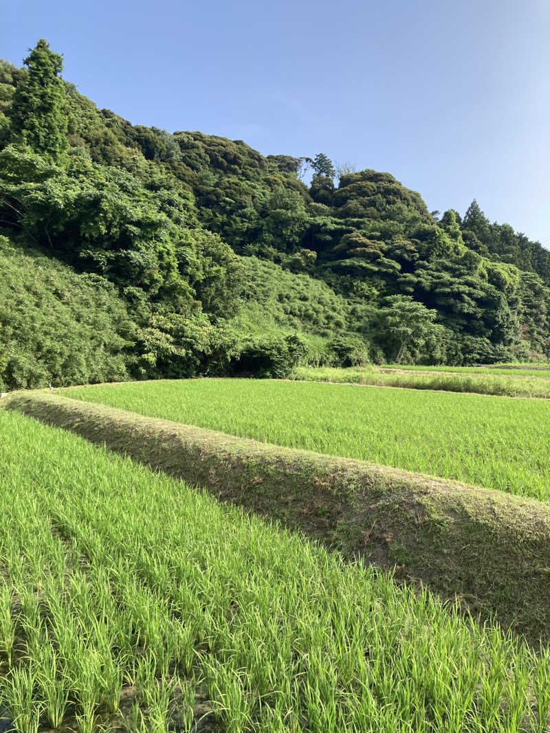 ♨️taぁくん♨️さんの御前崎市民プール すいすいパーク ぷるるのサ活写真