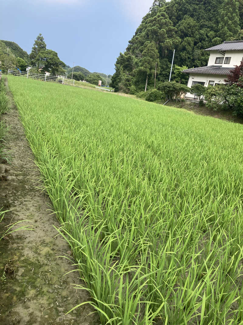 ♨️taぁくん♨️さんの御前崎市民プール すいすいパーク ぷるるのサ活写真